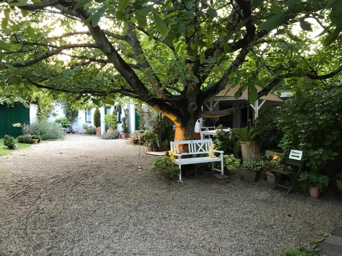 Ferien- Und Messewohnung In Мербуш Экстерьер фото